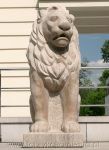 rzeźba kamienna lew